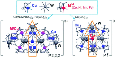 Graphical abstract: A heterotrimetallic synthetic approach in versatile functionalization of nanosized {MxCu13–xW7}3+ and {M1Cu8W6} (M = Co, Ni, Mn, Fe) metal–cyanide magnetic clusters