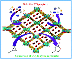 Graphical abstract: Construction of a bifunctional Zn(ii)–organic framework containing a basic amine functionality for selective capture and room temperature fixation of CO2