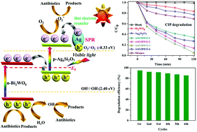 Graphical abstract: A novel 3D Z-scheme heterojunction photocatalyst: Ag6Si2O7 anchored on flower-like Bi2WO6 and its excellent photocatalytic performance for the degradation of toxic pharmaceutical antibiotics