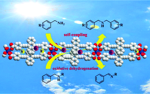 Graphical abstract: Visible-light-driven self-coupling and oxidative dehydrogenation of amines to imines via a Mn(ii)-based coordination polymer