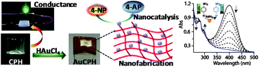 Graphical abstract: Nanofabrication of Au nanoparticles over conductive metallohydrogel nanofibers for nanocatalysis application