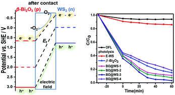 Graphical abstract: Hollow core/shell β-Bi2O3@WS2 p–n heterojunction for efficient photocatalytic degradation of fluoroquinolones: a theoretical and experimental study