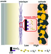 Graphical abstract: Arranged redistribution of sulfur species and synergistic mediation of polysulfide conversion in lithium–sulfur batteries by a cactus structure MnO2/carbon nanofiber interlayer