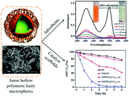 Graphical abstract: Janus hollow polymeric hairy microspheres as efficient adsorbents and catalyst scaffolds