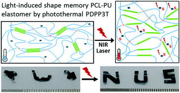Graphical abstract: Near-infrared light-induced shape memory, self-healable and anti-bacterial elastomers prepared by incorporation of a diketopyrrolopyrrole-based conjugated polymer