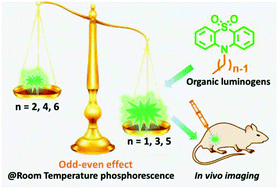 Graphical abstract: The odd–even effect of alkyl chain in organic room temperature phosphorescence luminogens and the corresponding in vivo imaging