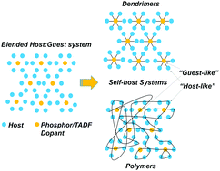 Graphical abstract: Phosphorescent and TADF polymers and dendrimers in solution-processed self-host organic light-emitting diodes: structure analysis and design perspectives