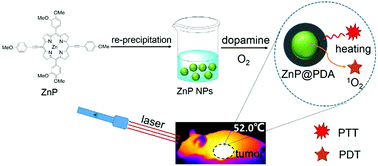 Graphical abstract: Zinc porphyrin–polydopamine core–shell nanostructures for enhanced photodynamic/photothermal cancer therapy