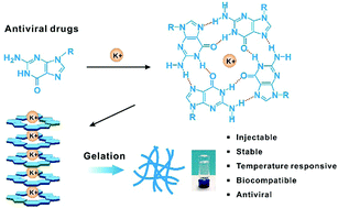 Graphical abstract: G-quadruplex-based antiviral hydrogels by direct gelation of clinical drugs