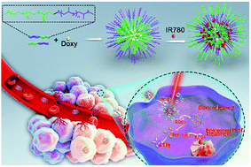 Graphical abstract: Reactive oxygen species-responsive theranostic nanoparticles for enhanced hypoxic tumor photodynamic therapy via synchronous HIF-1α inhibition and ATP depletion