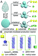 Graphical abstract: Engineering mesoporous silica microspheres as hyper-activation supports for continuous enzymatic biodiesel production