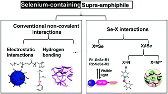 Graphical abstract: Selenium-containing supra-amphiphiles