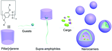 Graphical abstract: Stimuli-responsive nanocarriers constructed from pillar[n]arene-based supra-amphiphiles