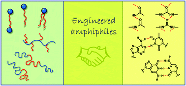 Graphical abstract: Hydrogen-bonding regulated assembly of molecular and macromolecular amphiphiles