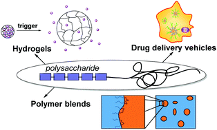 Graphical abstract: Polysaccharide-containing block copolymers: synthesis and applications