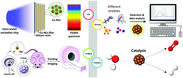 Graphical abstract: Ligand functionalized copper nanoclusters for versatile applications in catalysis, sensing, bioimaging, and optoelectronics
