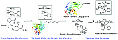 Graphical abstract: Modification of proteins using olefin metathesis
