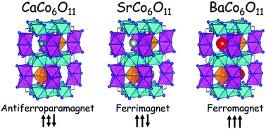 Graphical abstract: Various magnetic states for novel layered cobalt oxides CaCo6O11 and BaCo6O11