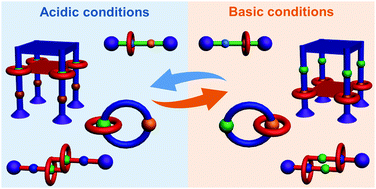 Graphical abstract: pH-Controlled motions in mechanically interlocked molecules