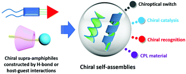 Graphical abstract: Self-assembly of chiral supra-amphiphiles