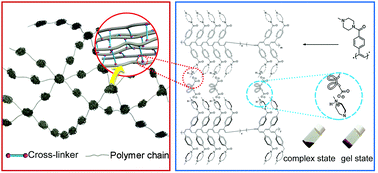 Graphical abstract: A supramolecular approach for the synthesis of cross-linked ionic polyacetylene network gels