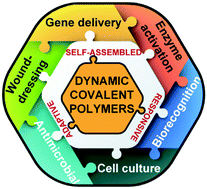 Graphical abstract: Dynamic covalent polymers for biomedical applications