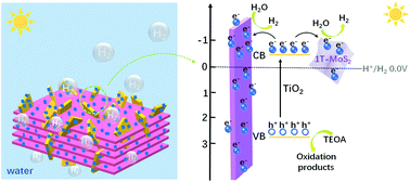 Graphical abstract: 1T-MoS2 nanopatch/Ti3C2 MXene/TiO2 nanosheet hybrids for efficient photocatalytic hydrogen evolution