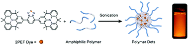 Graphical abstract: Tunable benzothiadiazole-based donor–acceptor materials for two-photon excited fluorescence