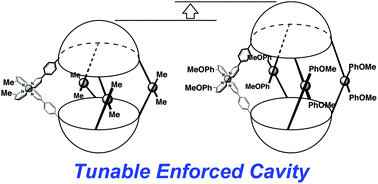 Graphical abstract: Tunable enforced cavities inside self-assembled capsules