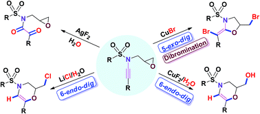 Graphical abstract: Reactivity of epoxy-ynamides with metal halides: nucleophile (Br/Cl/OH)-assisted tandem intramolecular 5-exo-dig or 6-endo-dig cyclisation and AgF2-promoted oxidation