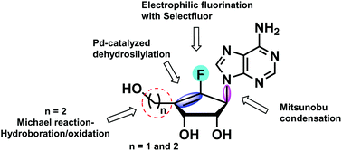 Graphical abstract: An efficient synthesis of fluoro-neplanocin A analogs using electrophilic fluorination and palladium-catalyzed dehydrosilylation