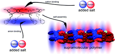 Graphical abstract: Binding properties and supramolecular polymerization of a water-soluble resorcin[4]arene