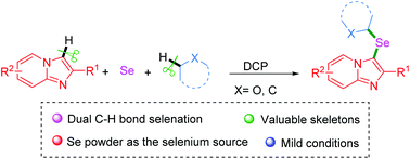 Graphical abstract: Oxidative dual C–H selenation of imidazoheterocycles with ethers or alkanes using selenium powder via a radical pathway