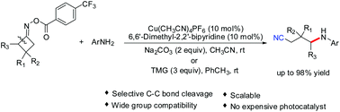 Graphical abstract: Copper-catalysed C(sp3)–N coupling initiated by selective C–C bond cleavage of cyclobutanone oxime esters