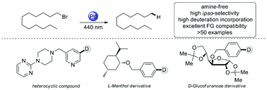 Graphical abstract: Visible-light-mediated hydrodehalogenation and Br/D exchange of inactivated aryl and alkyl halides with a palladium complex