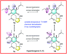 Graphical abstract: The absolute configurations of hyperilongenols A–C: rare 12,13-seco-spirocyclic polycyclic polyprenylated acylphloroglucinols with enolizable β,β′-tricarbonyl systems from Hypericum longistylum Oliv.