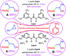 Graphical abstract: Why electrostatically enhanced thiourea is better than Schreiner's thiourea in both catalytic activity and regioselectivity?