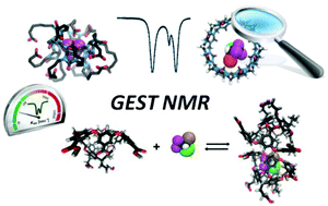 Graphical abstract: 19F-GEST NMR: studying dynamic interactions in host–guest systems