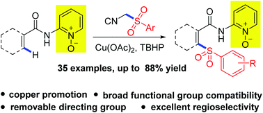 Graphical abstract: Copper-mediated direct sulfonylation of C(sp2)–H bonds employing TosMIC as a sulfonyl source