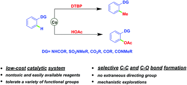 Graphical abstract: Cobalt catalyzed regioselective C–H methylation/acetoxylation of anilides: new routes for C–C and C–O bond formation