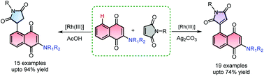 Graphical abstract: Regioselective C–H alkylation and alkenylation at the C5 position of 2-amino-1,4-naphthoquinones with maleimides under Rh(iii) catalysis