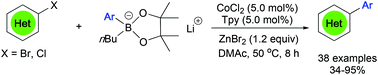 Graphical abstract: Cobalt-catalyzed cross-coupling of lithium (hetero)aryl zincates with heteroaryl chlorides and bromides