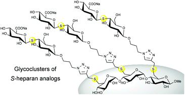 Graphical abstract: Synthesis of multivalent S-glycoside analogs of a heparan sulfate sequence