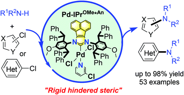 Graphical abstract: Rigid hindered N-heterocyclic carbene palladium precatalysts: synthesis, characterization and catalytic amination