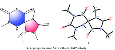 Graphical abstract: A unique spiro-β-triazinedione-γ-hydantoin type alkaloid with antiviral activity against tobacco mosaic virus from Streptomyces gamaensis