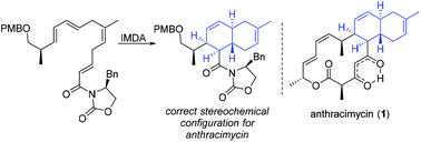 Graphical abstract: A chiral auxiliary-based synthesis of the C5–C17 trans-decalin framework of anthracimycin