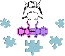 Graphical abstract: Constructing bridged multifunctional calixarenes by intramolecular indole coupling