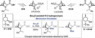 Graphical abstract: Mechanistic insights for the transprotection of tertiary amines with Boc2O via charged carbamates: access to both enantiomers of 2-azanorbornane-3-exo-carboxylic acids