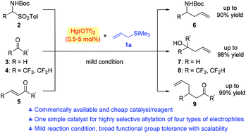 Graphical abstract: A highly efficient Hg(OTf)2-mediated Sakurai–Hosomi allylation of N-tert-butyloxycarbonylamino sulfones, aldehydes, fluoroalkyl ketones and α,β-unsaturated enones using allyltrimethylsilane