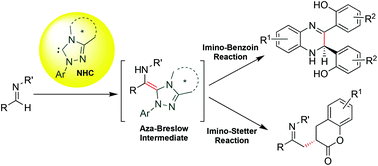 Graphical abstract: N-Heterocyclic carbene catalysed umpolung reactions of imines approaching enantioselective synthesis